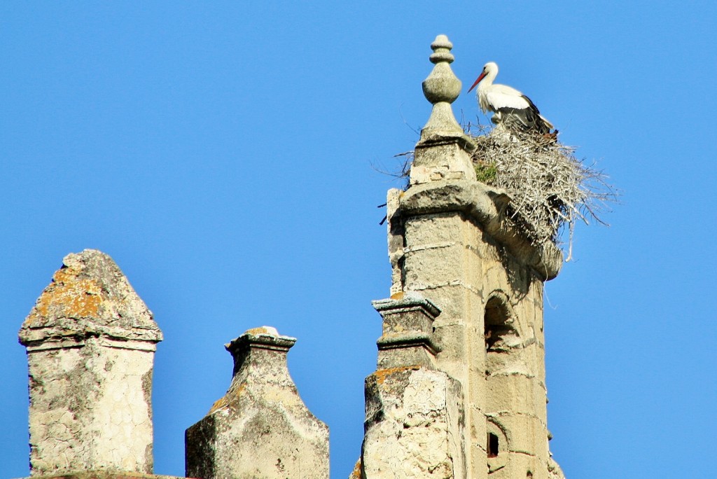 Foto: Centro histórico - Puerto de Santa María (Cádiz), España