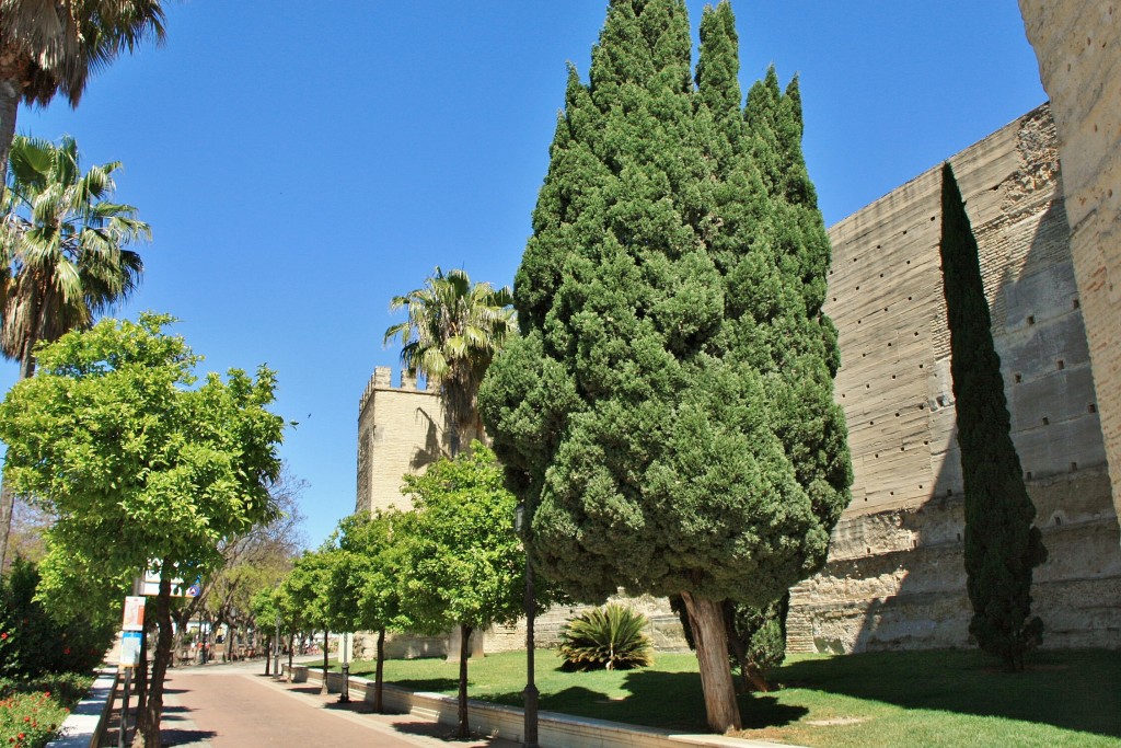 Foto: Alcázar - Jerez de la Frontera (Cádiz), España