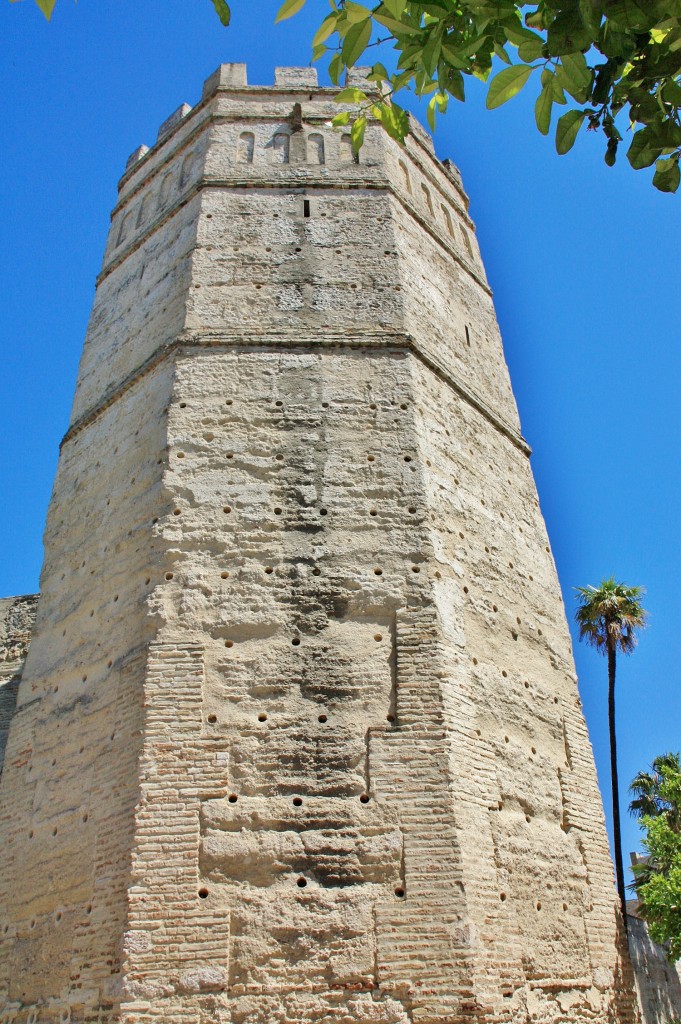 Foto: Alcázar - Jerez de la Frontera (Cádiz), España