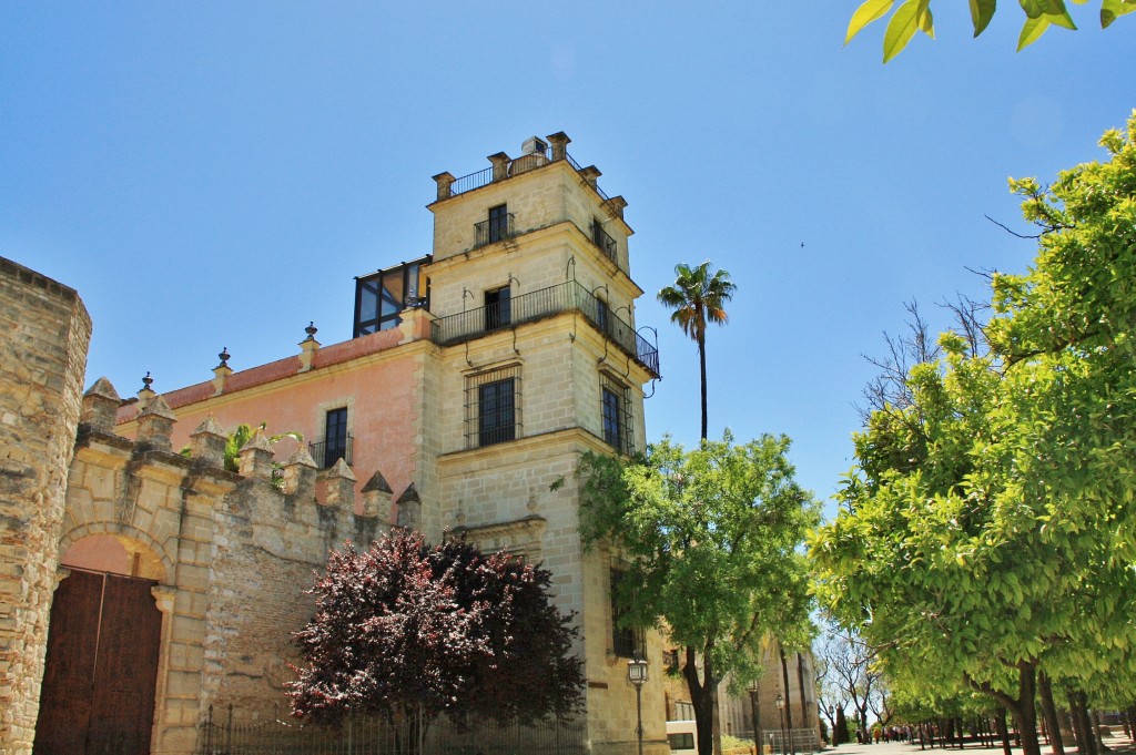 Foto: Catedral - Jerez de la Frontera (Cádiz), España