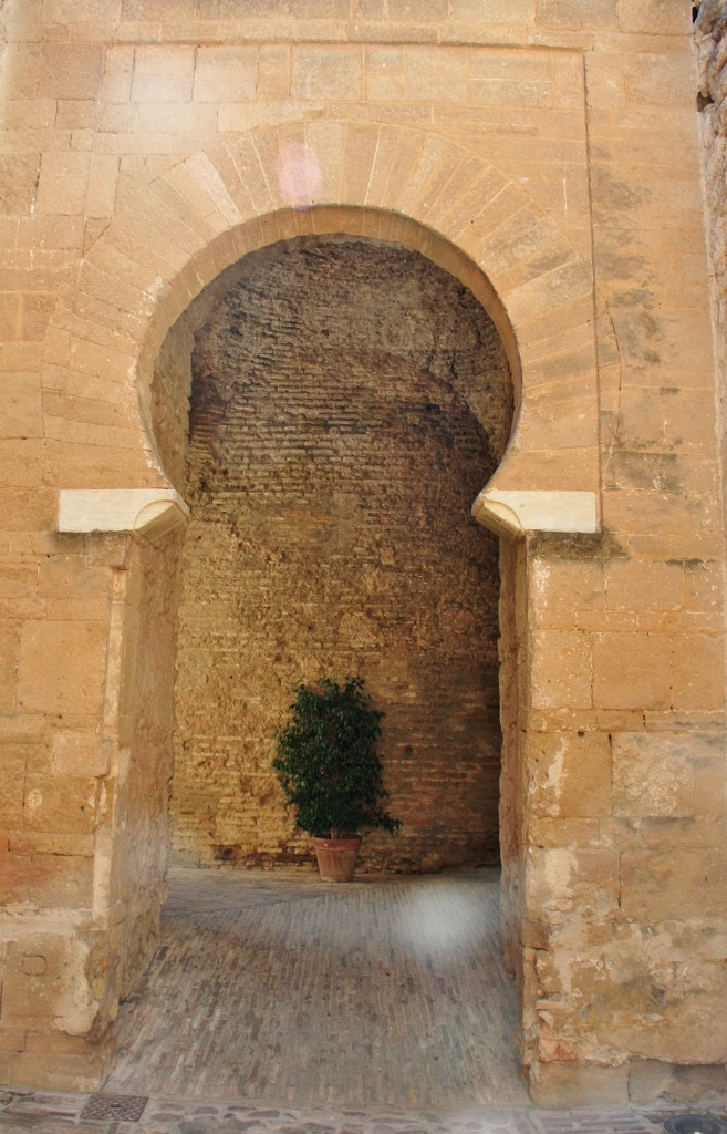 Foto: Alcázar - Jerez de la Frontera (Cádiz), España