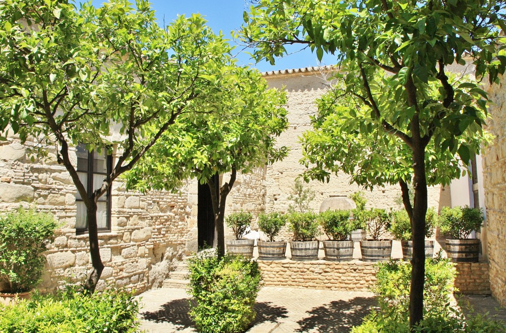 Foto: Alcázar - Jerez de la Frontera (Cádiz), España