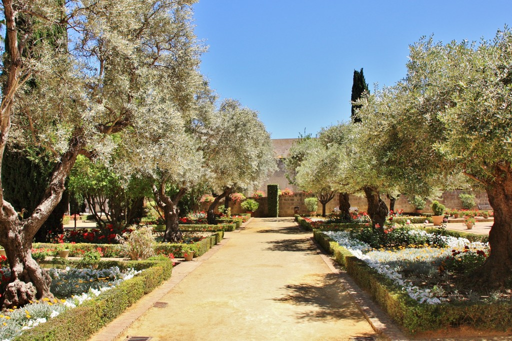 Foto: Alcázar - Jerez de la Frontera (Cádiz), España