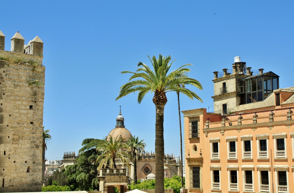 Foto: Alcázar - Jerez de la Frontera (Cádiz), España