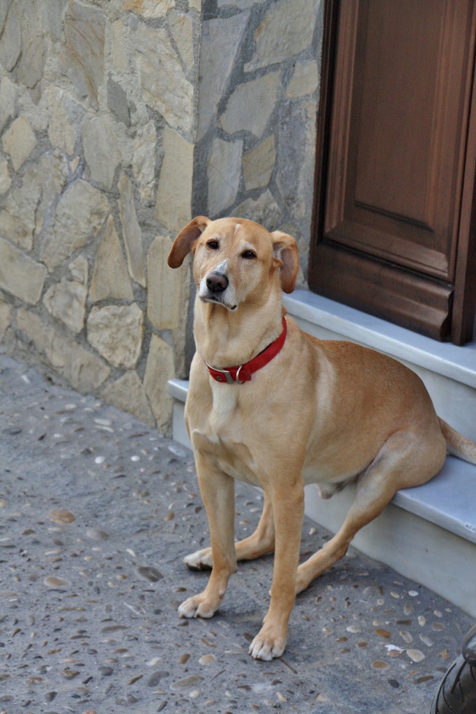 Foto: Comodo - Ubrique (Cádiz), España