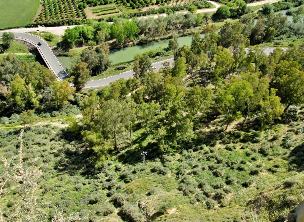 Foto: Vistas - Arcos de la Frontera (Cádiz), España