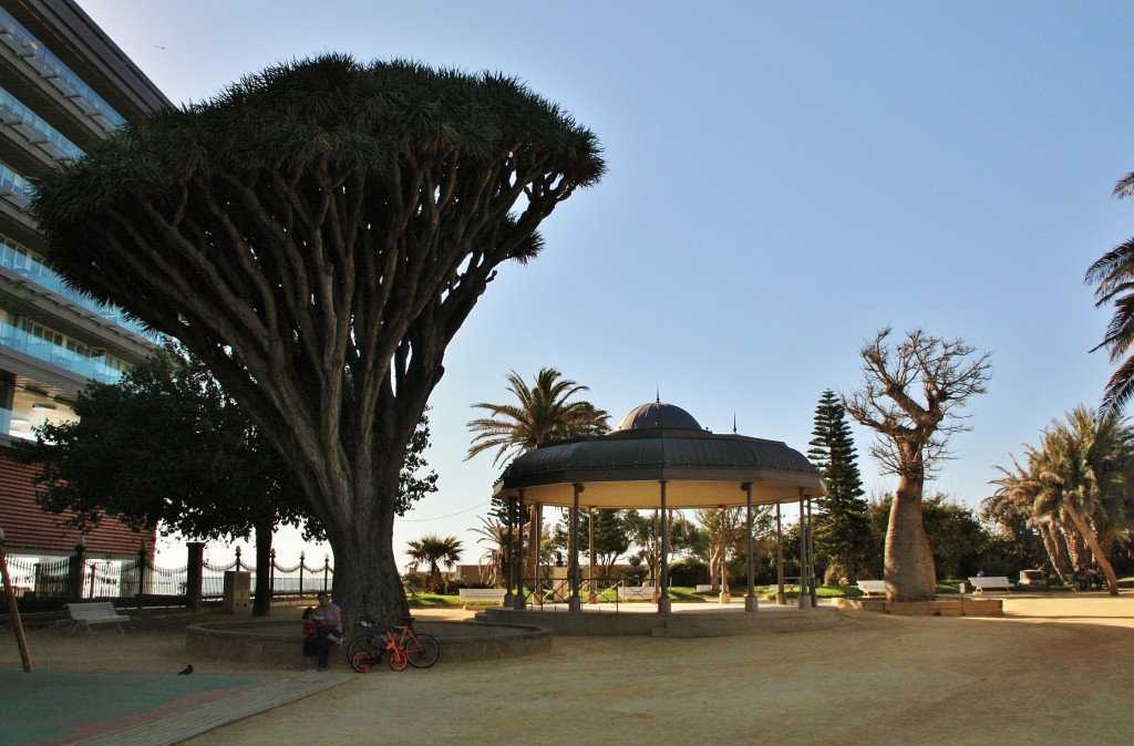 Foto: Centro histórico - Cádiz (Andalucía), España