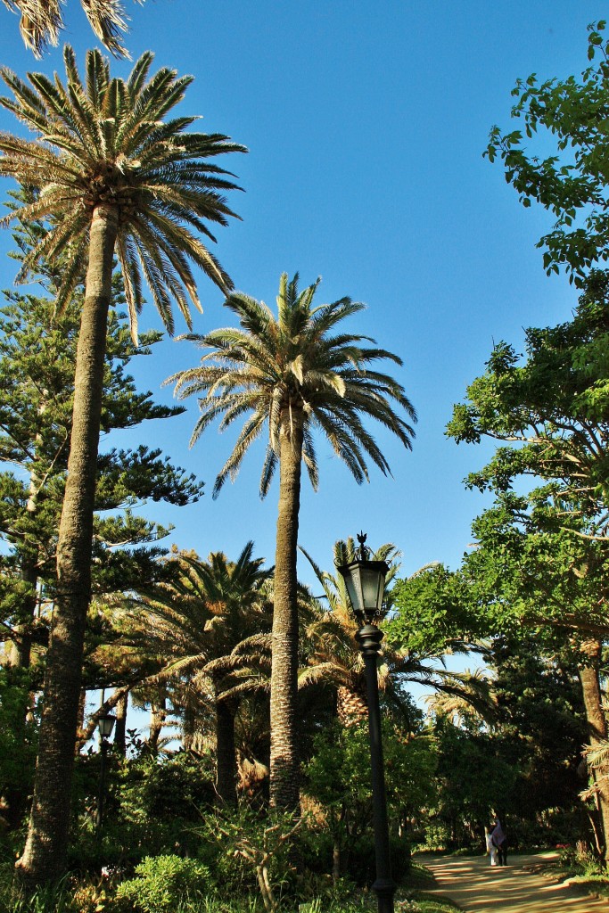 Foto: Jardines - Cádiz (Andalucía), España