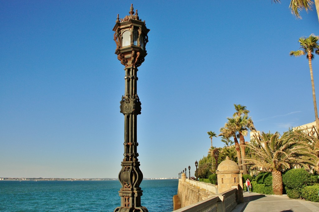 Foto: Jardines - Cádiz (Andalucía), España