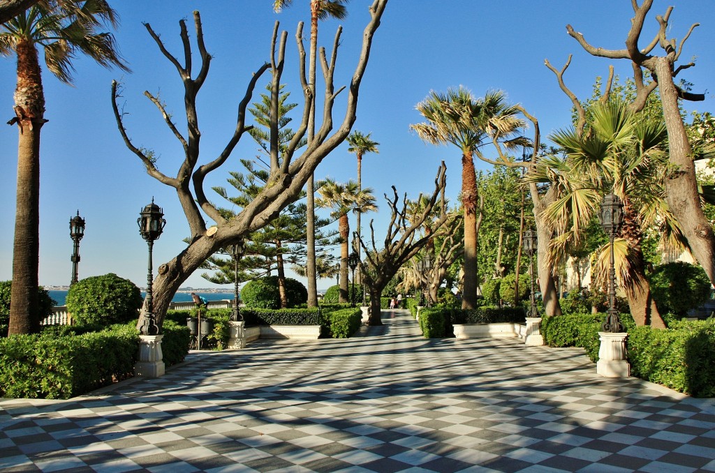 Foto: Jardines - Cádiz (Andalucía), España