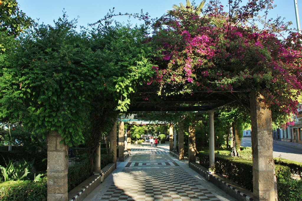 Foto: Jardines - Cádiz (Andalucía), España