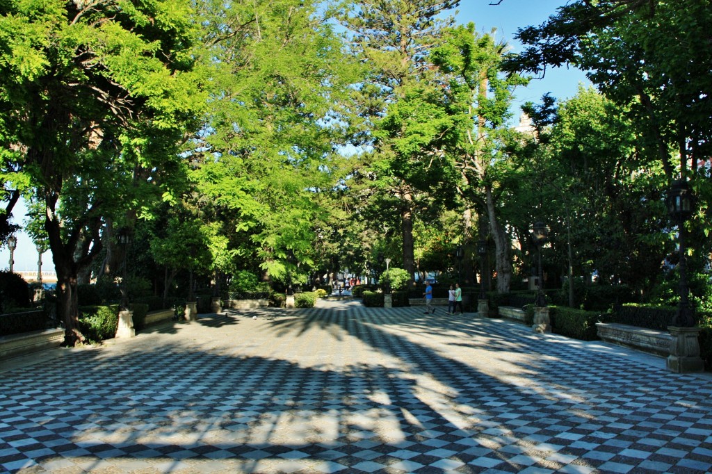 Foto: Jardines - Cádiz (Andalucía), España