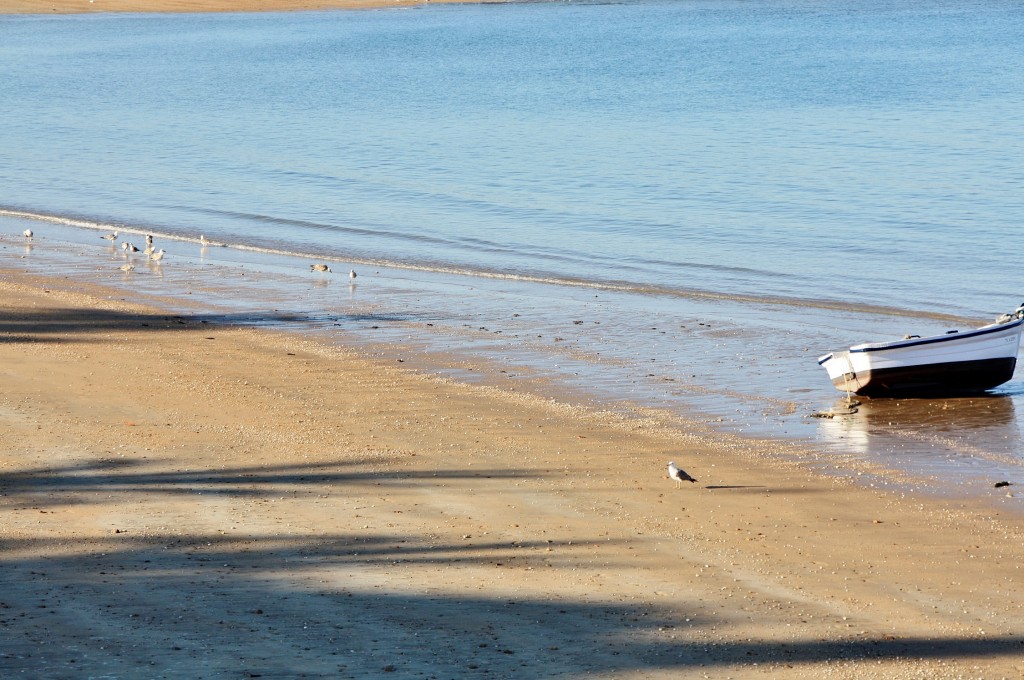 Foto: Bahía de Cádiz - Cádiz (Andalucía), España