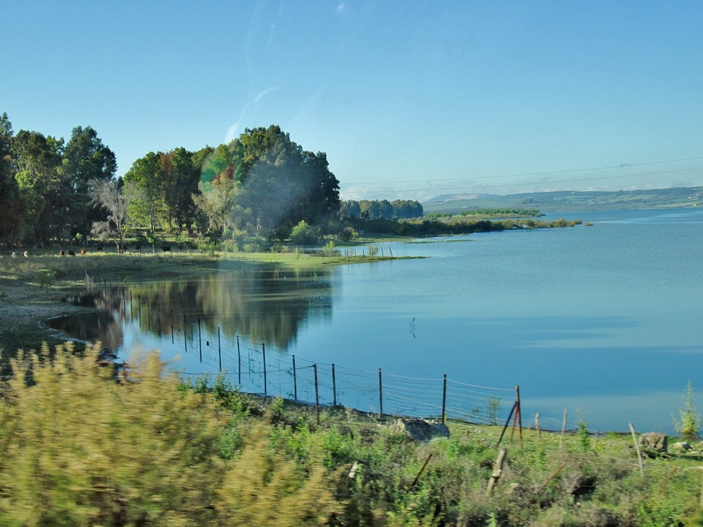 Foto: Pantano - Arcos de la Frontera (Cádiz), España