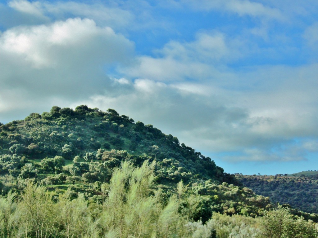 Foto: Vistas - Setenil de las Bodegas (Cádiz), España