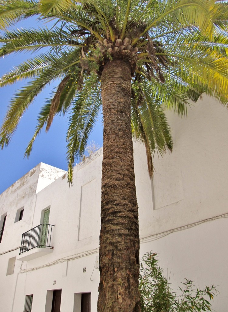 Foto: Centro histórico - Vejer de la Frontera (Cádiz), España