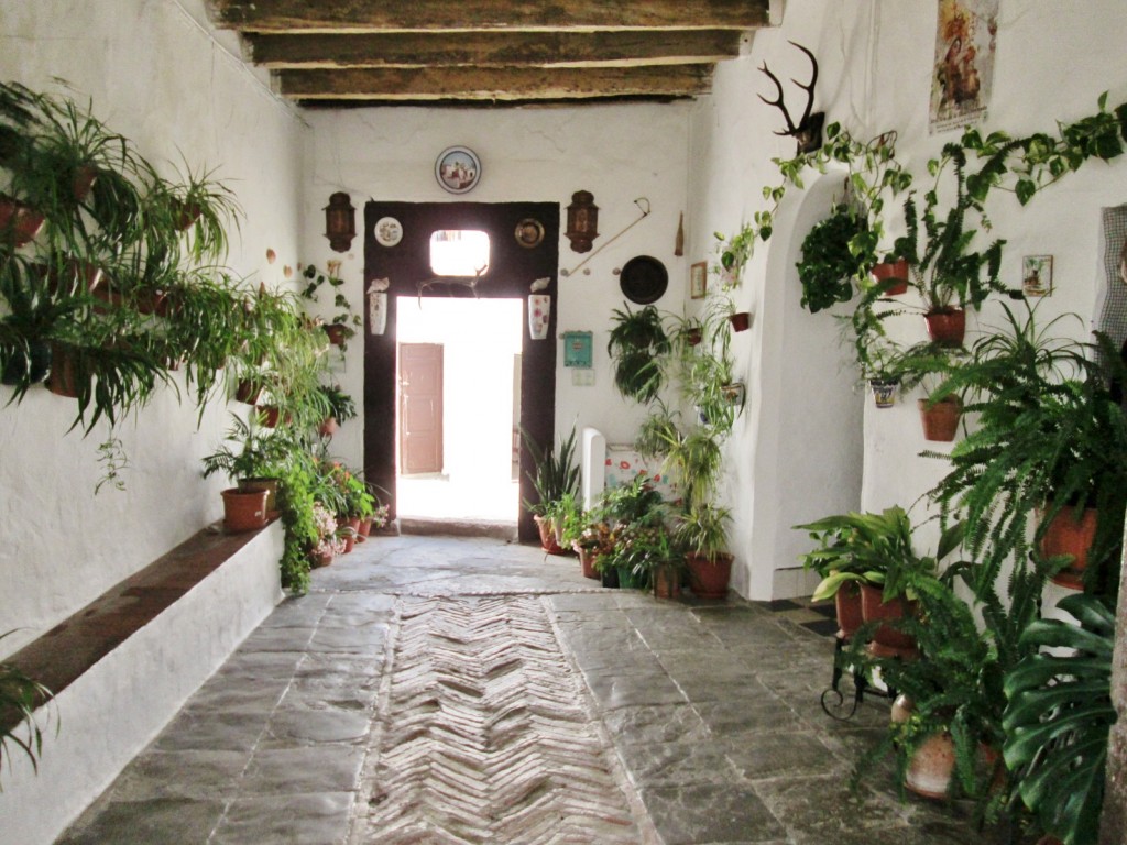 Foto: Centro histórico - Vejer de la Frontera (Cádiz), España