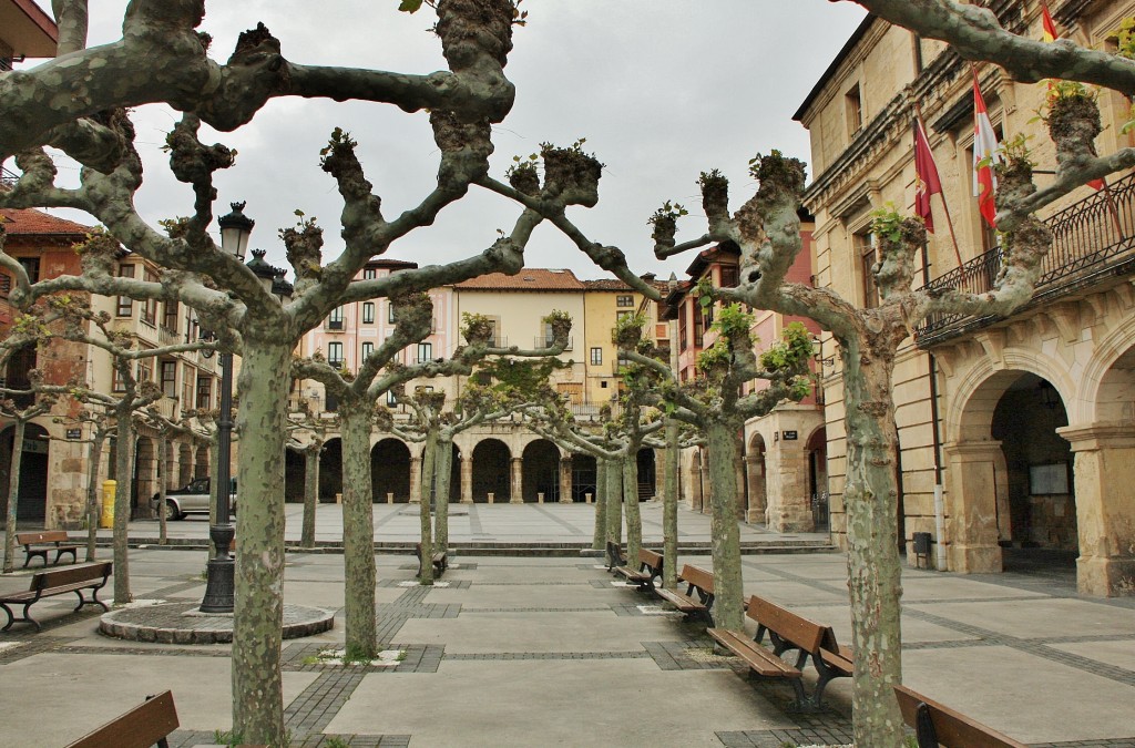 Foto: Plaza Mayor - Medina de Pomar (Burgos), España