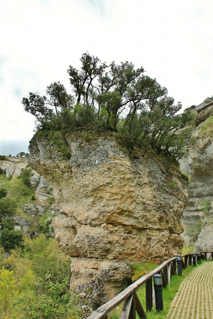 Foto: Ojo Guareña - Merindad de Sotoscueva (Burgos), España