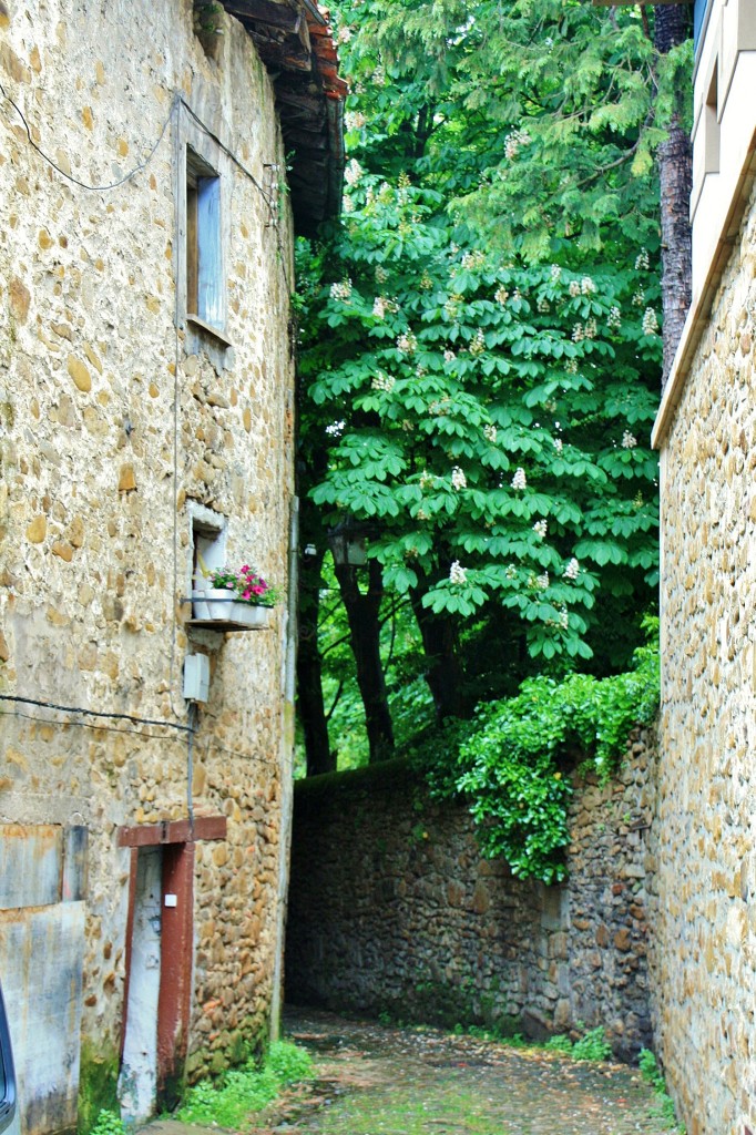 Foto: Centro histórico - Oñati (Gipuzkoa), España