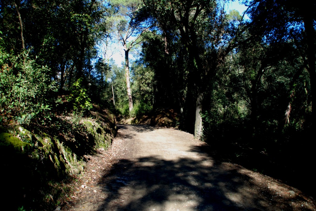 Foto: (Valle de Gausach) - Collcerola (Barcelona), España