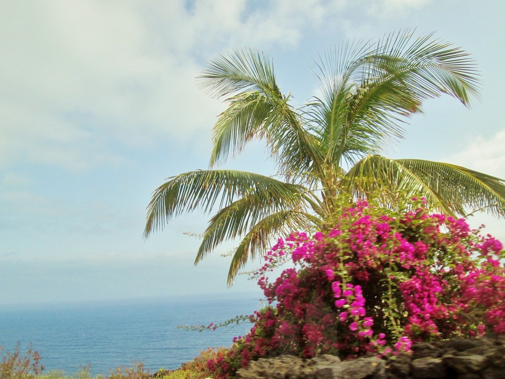 Foto: Paisaje - Los LLanillos (El Hierro) (Santa Cruz de Tenerife), España