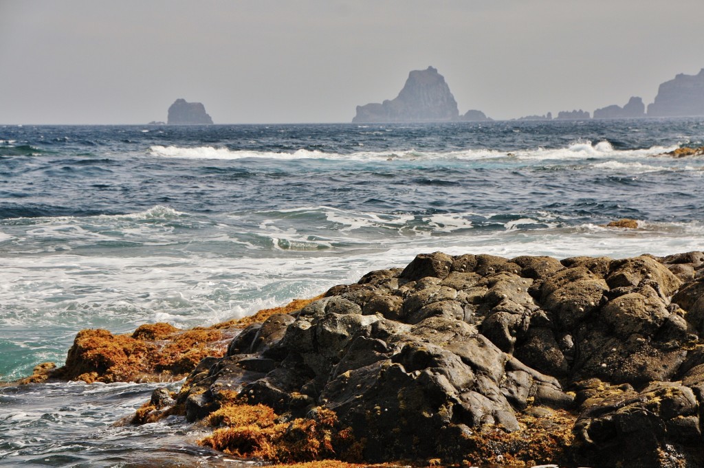 Foto: Los Sargos - Los Llanillos (El Hierro) (Santa Cruz de Tenerife), España