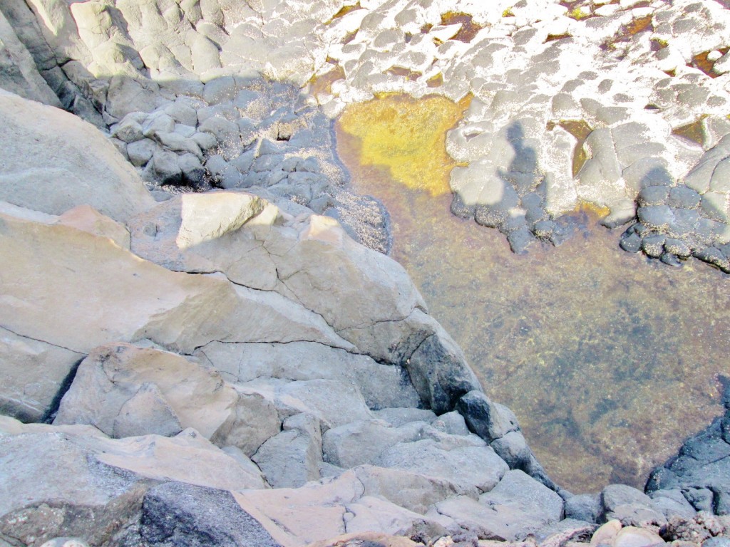 Foto: Los Sargos - Los Llanillos (El Hierro) (Santa Cruz de Tenerife), España