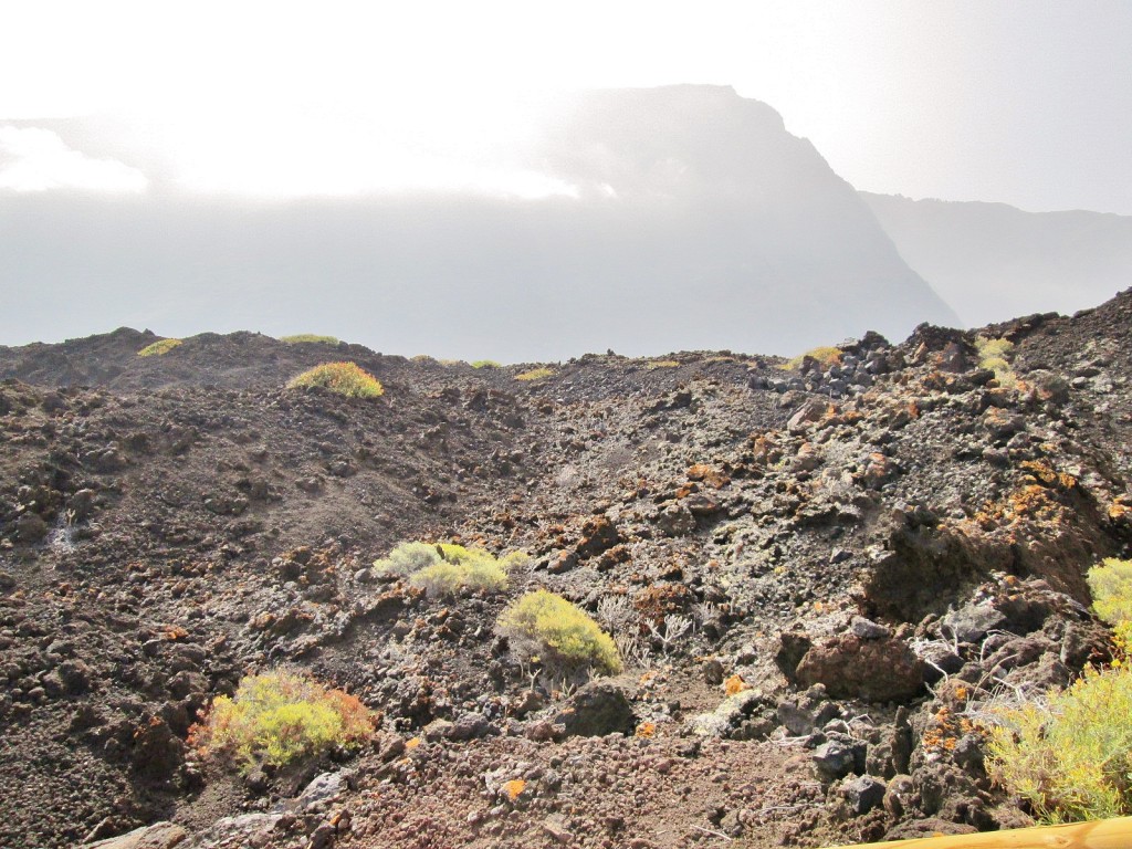 Foto: Los Sargos - Los Llanillos (El Hierro) (Santa Cruz de Tenerife), España