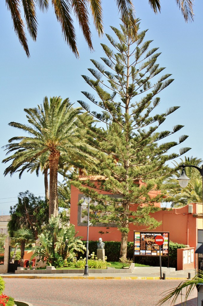 Foto: Centro histórico - Ingenio (Gran Canaria) (Las Palmas), España