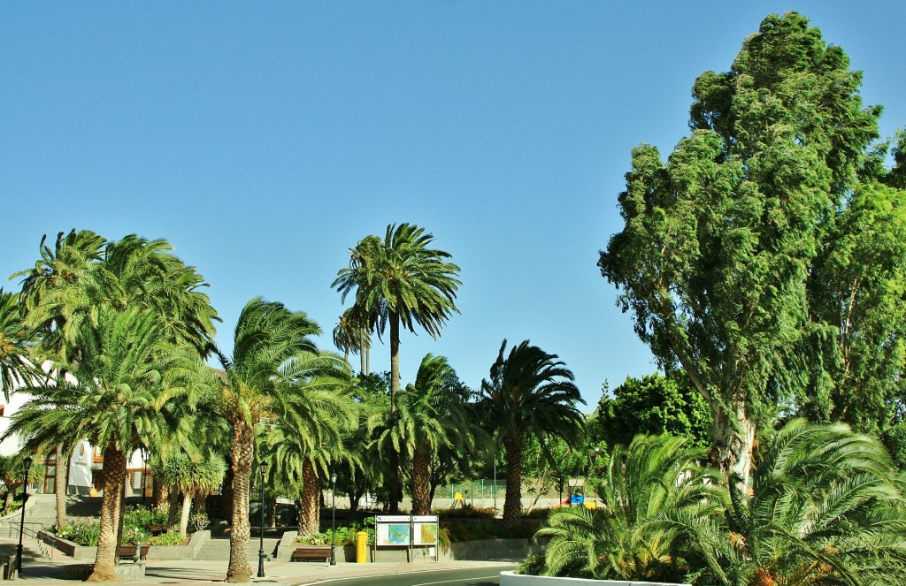 Foto: Paisaje - Santa Lucía (Gran Canaria) (Las Palmas), España