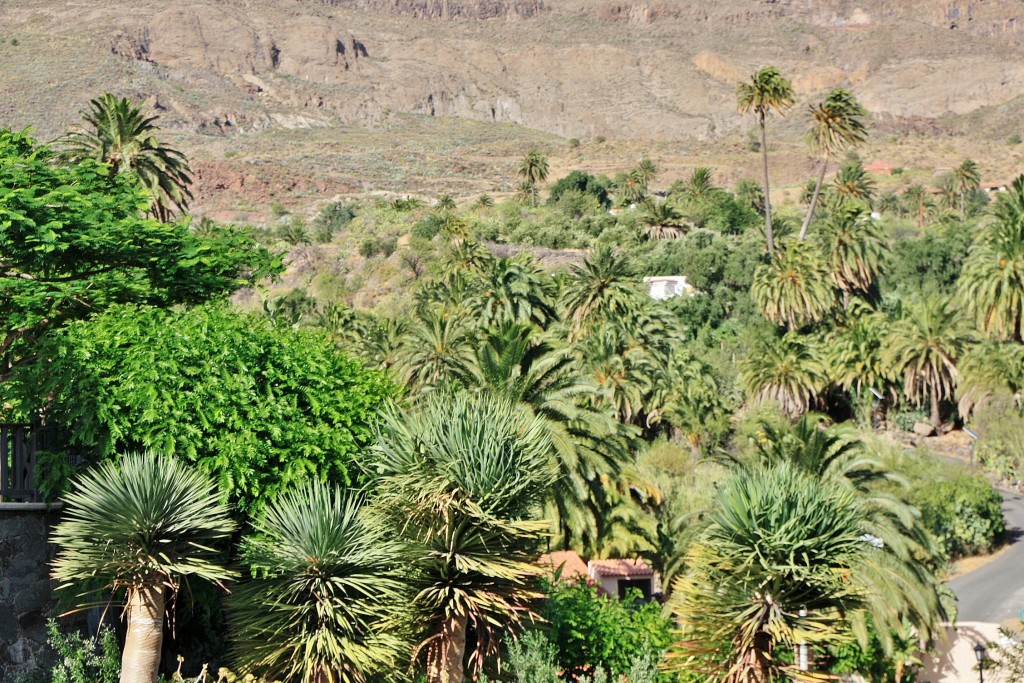 Foto: Paisaje - Santa Lucía (Gran Canaria) (Las Palmas), España