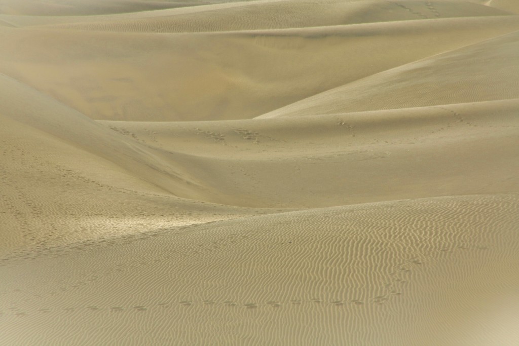 Foto: Dunas - Maspalomas (Gran Canaria) (Las Palmas), España