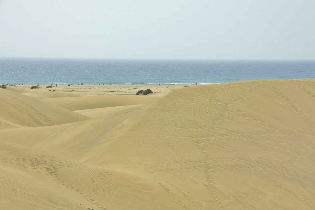 Foto: Dunas - Maspalomas (Gran Canaria) (Las Palmas), España