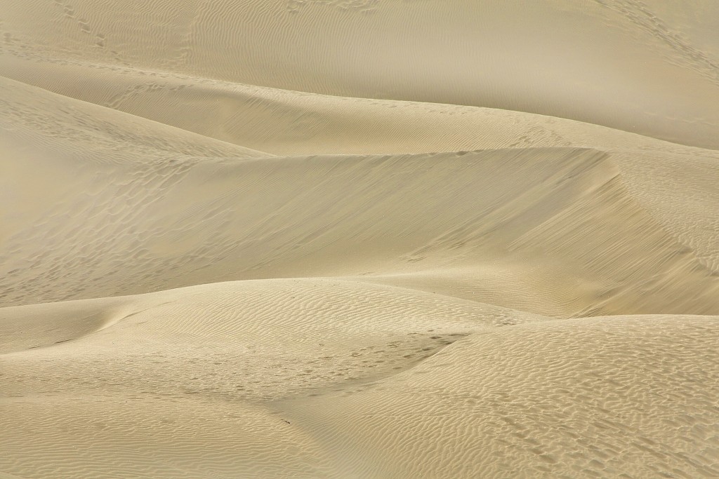 Foto: Dunas - Maspalomas (Gran Canaria) (Las Palmas), España