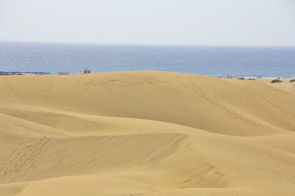 Foto: Dunas - Maspalomas (Gran Canaria) (Las Palmas), España