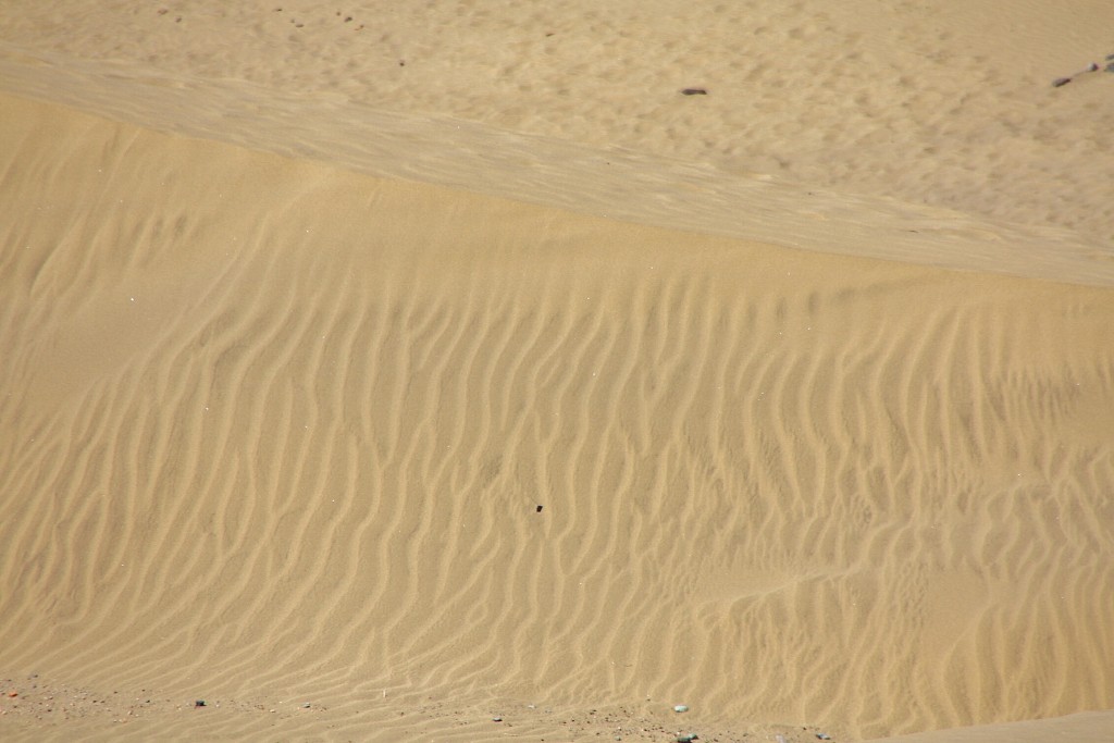 Foto: Dunas - Maspalomas (Gran Canaria) (Las Palmas), España