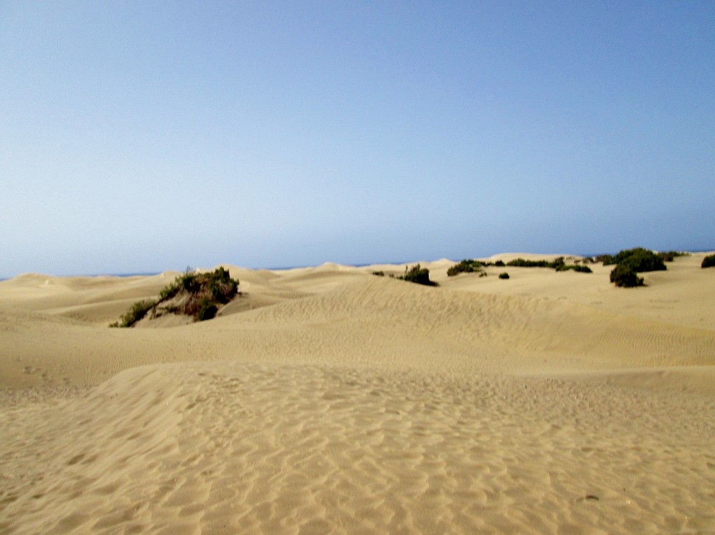 Foto: Dunas - Maspalomas (Gran Canaria) (Las Palmas), España