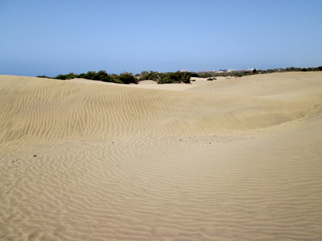 Foto: Dunas - Maspalomas (Gran Canaria) (Las Palmas), España