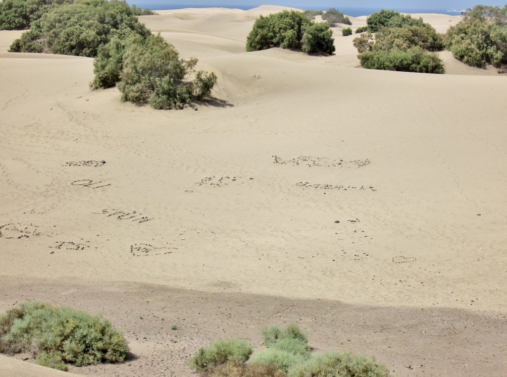 Foto: Dunas - Maspalomas (Gran Canaria) (Las Palmas), España