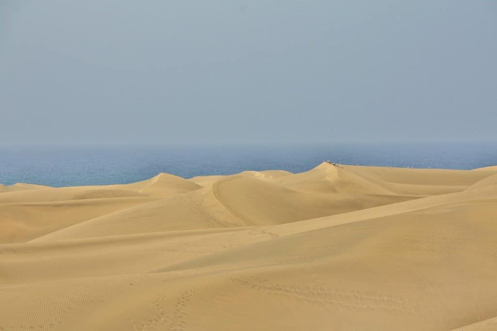 Foto: Dunas - Maspalomas (Gran Canaria) (Las Palmas), España