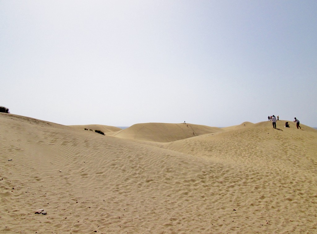 Foto: Dunas - Maspalomas (Gran Canaria) (Las Palmas), España