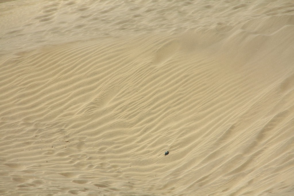 Foto: Dunas - Maspalomas (Gran Canaria) (Las Palmas), España