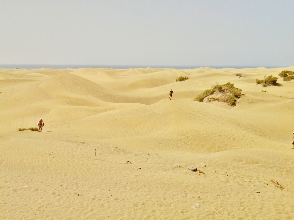 Foto: Dunas - Maspalomas (Gran Canaria) (Las Palmas), España