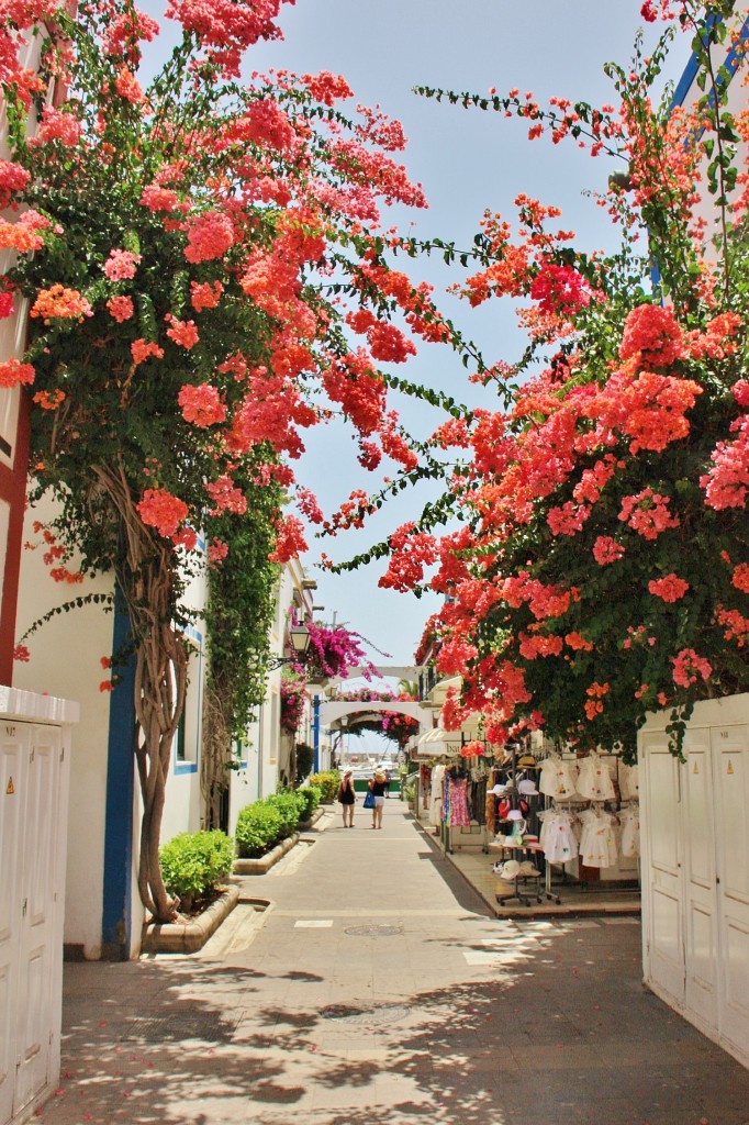 Foto: Puerto - Mogán (Gran Canaria) (Las Palmas), España