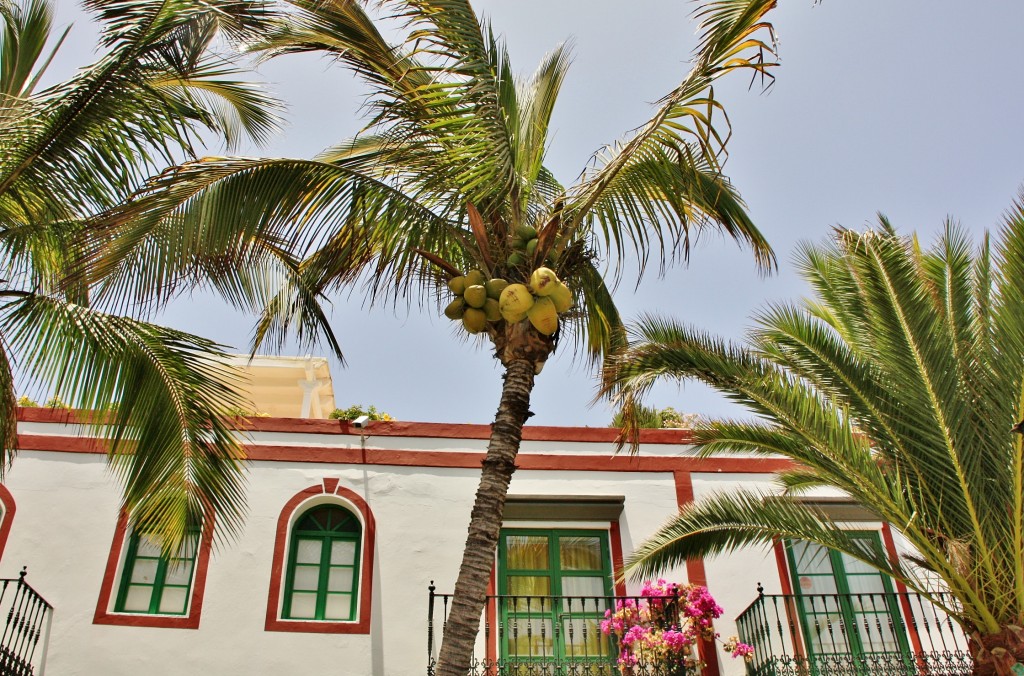 Foto: Puerto - Mogán (Gran Canaria) (Las Palmas), España