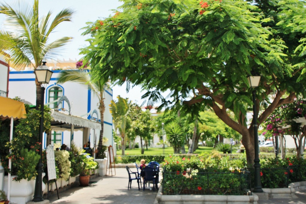 Foto: Puerto - Mogán (Gran Canaria) (Las Palmas), España