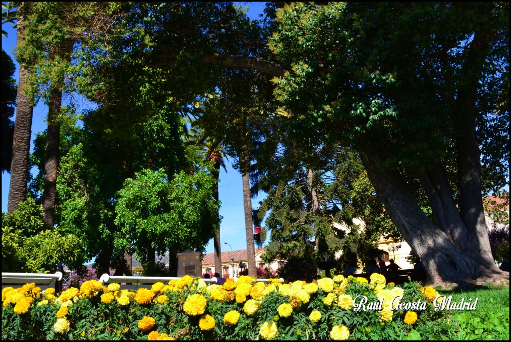 Foto de San Vicente de Tagua Tagua (Libertador General Bernardo OʼHiggins), Chile