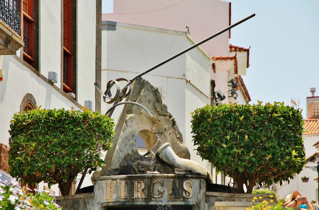 Foto: Paseo de Canarias - Firgas (Gran Canaria) (Las Palmas), España