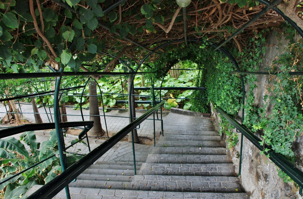 Foto: Jardín de la Marquesa - Arucas (Gran Canaria) (Las Palmas), España